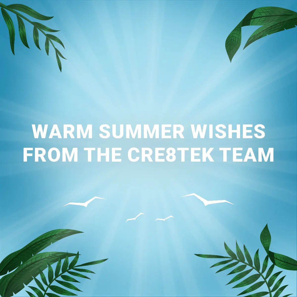 Warm summer wishes from the Cre8tek team